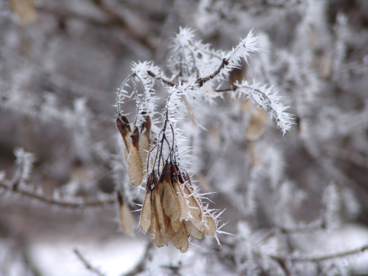 �̹����� Ŭ���ϸ� ������ ���� �� �ֽ��ϴ�.