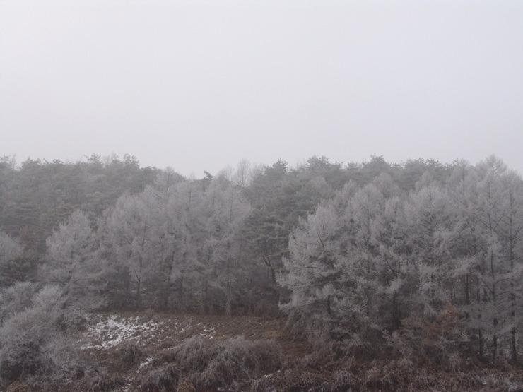 �̹����� Ŭ���ϸ� ������ ���� �� �ֽ��ϴ�.