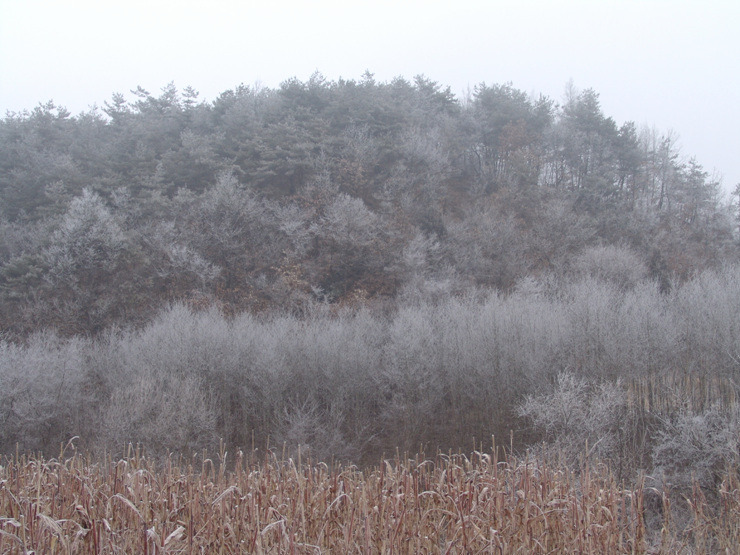 �̹����� Ŭ���ϸ� ������ ���� �� �ֽ��ϴ�.