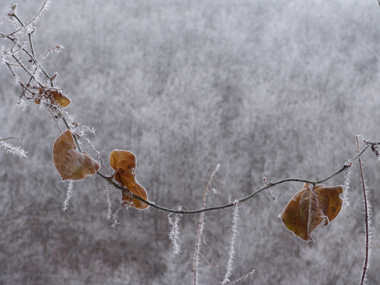 �̹����� Ŭ���ϸ� ������ ���� �� �ֽ��ϴ�.