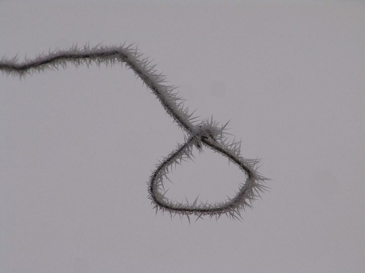 �̹����� Ŭ���ϸ� ������ ���� �� �ֽ��ϴ�.