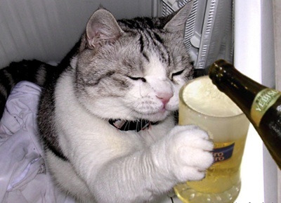 한*한 이미지