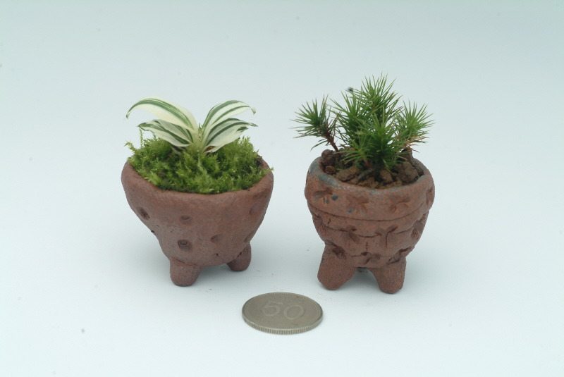 �̹����� Ŭ���ϸ� ������ ���� �� �ֽ��ϴ�.