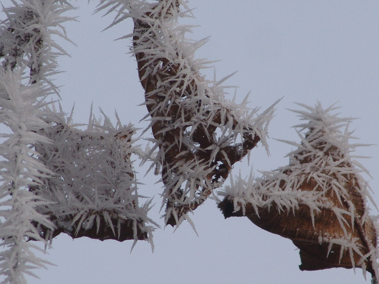 �̹����� Ŭ���ϸ� ������ ���� �� �ֽ��ϴ�.