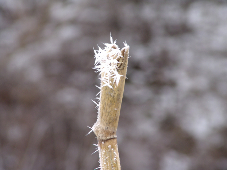 �̹����� Ŭ���ϸ� ������ ���� �� �ֽ��ϴ�.