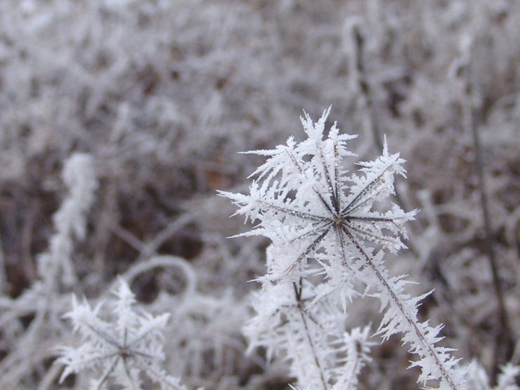 �̹����� Ŭ���ϸ� ������ ���� �� �ֽ��ϴ�.