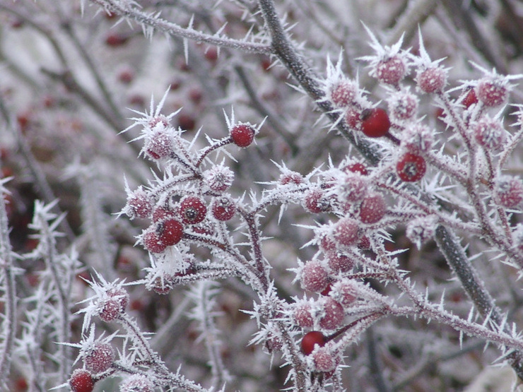 �̹����� Ŭ���ϸ� ������ ���� �� �ֽ��ϴ�.