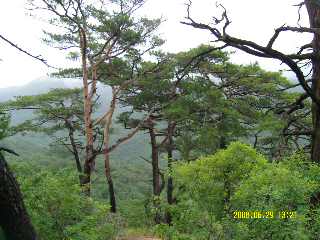 �̹����� Ŭ���ϸ� ������ ���� �� �ֽ��ϴ�.