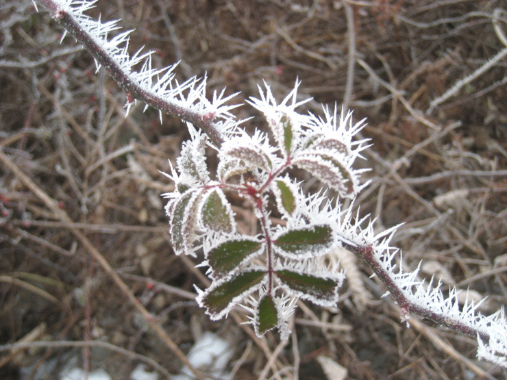 �̹����� Ŭ���ϸ� ������ ���� �� �ֽ��ϴ�.