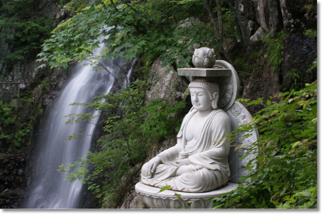 �̹����� Ŭ���ϸ� ������ ���� �� �ֽ��ϴ�.