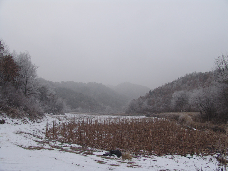 �̹����� Ŭ���ϸ� ������ ���� �� �ֽ��ϴ�.