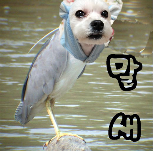 ̹ Ŭϸ    ֽϴ.