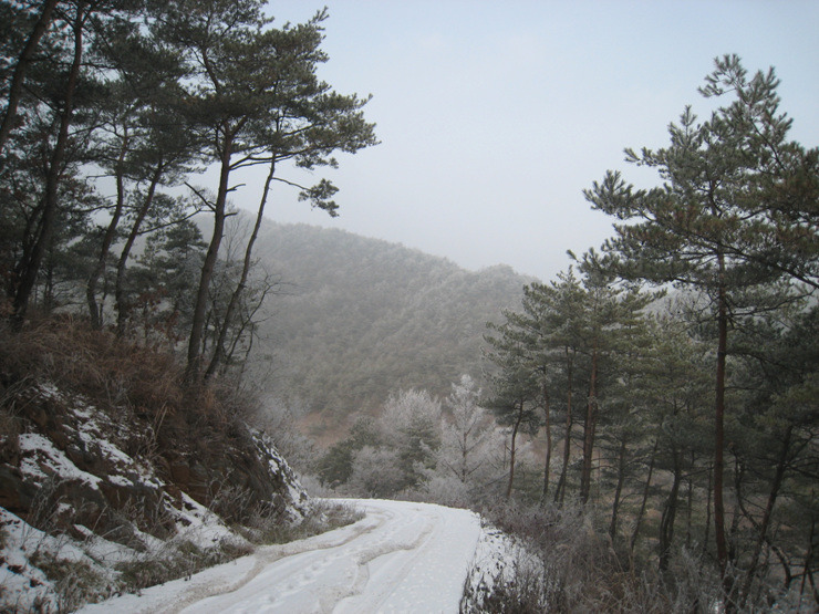 �̹����� Ŭ���ϸ� ������ ���� �� �ֽ��ϴ�.