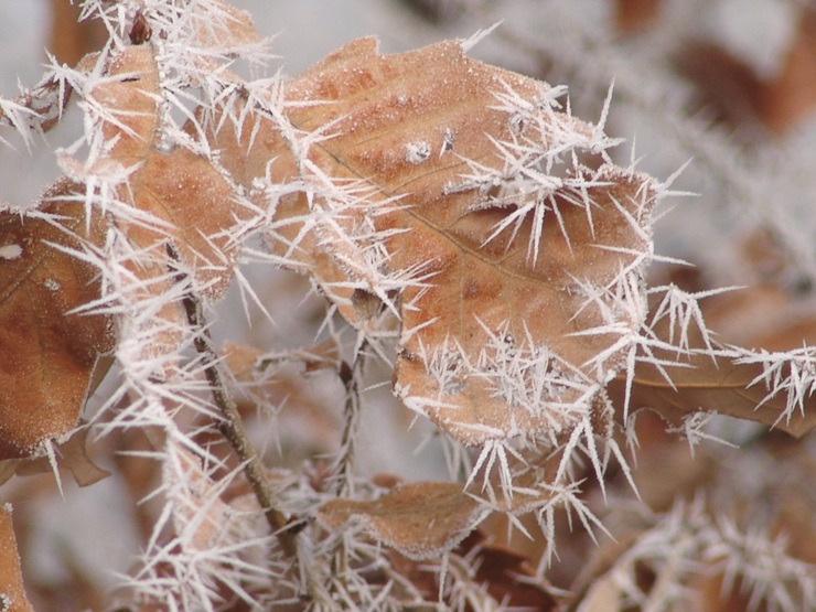 �̹����� Ŭ���ϸ� ������ ���� �� �ֽ��ϴ�.