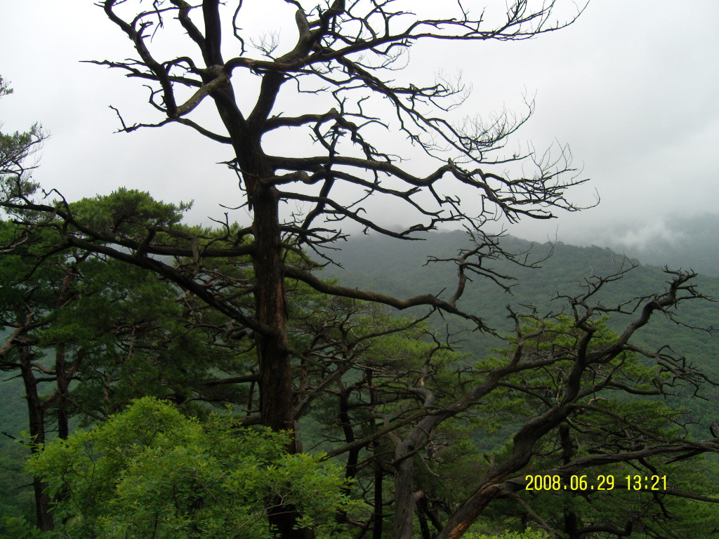 �̹����� Ŭ���ϸ� ������ ���� �� �ֽ��ϴ�.