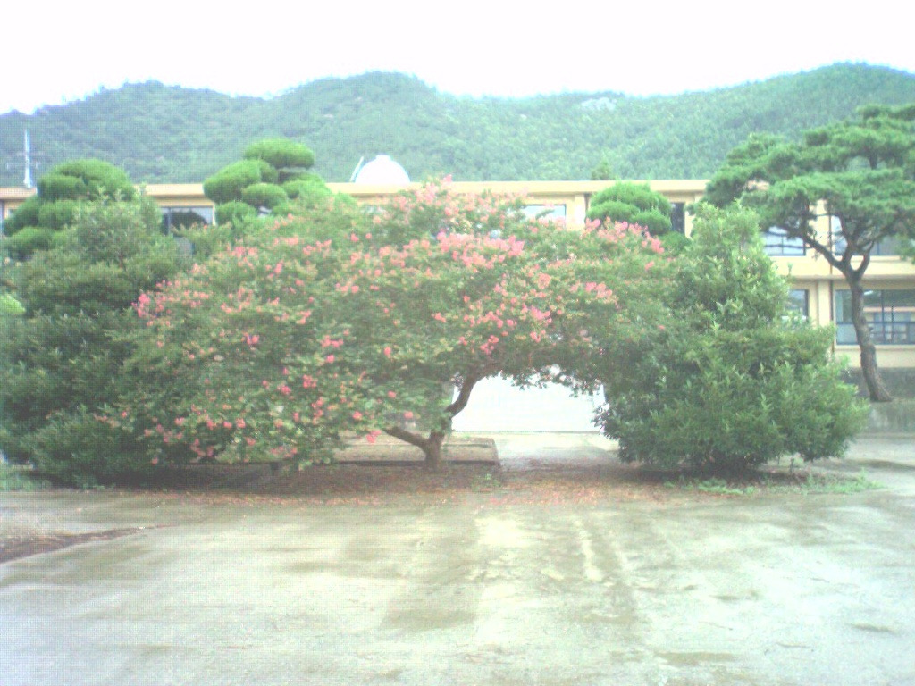 삼산초등학교 이미지