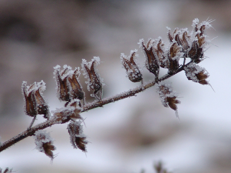 �̹����� Ŭ���ϸ� ������ ���� �� �ֽ��ϴ�.