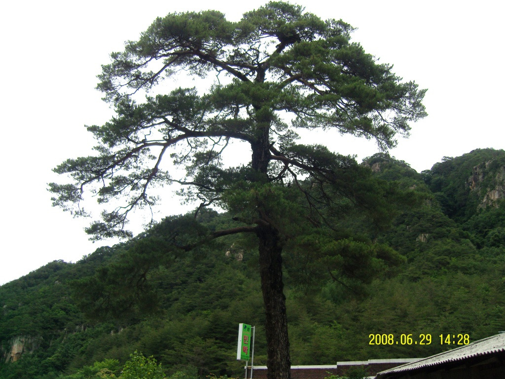 �̹����� Ŭ���ϸ� ������ ���� �� �ֽ��ϴ�.