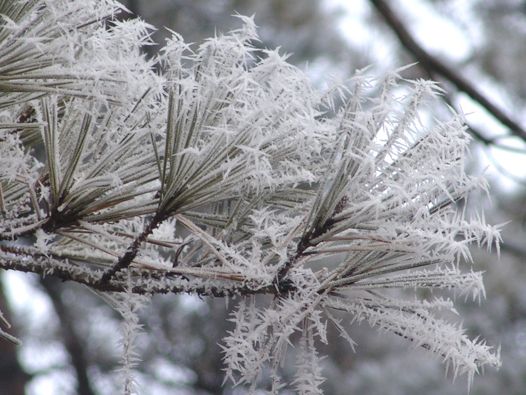 �̹����� Ŭ���ϸ� ������ ���� �� �ֽ��ϴ�.