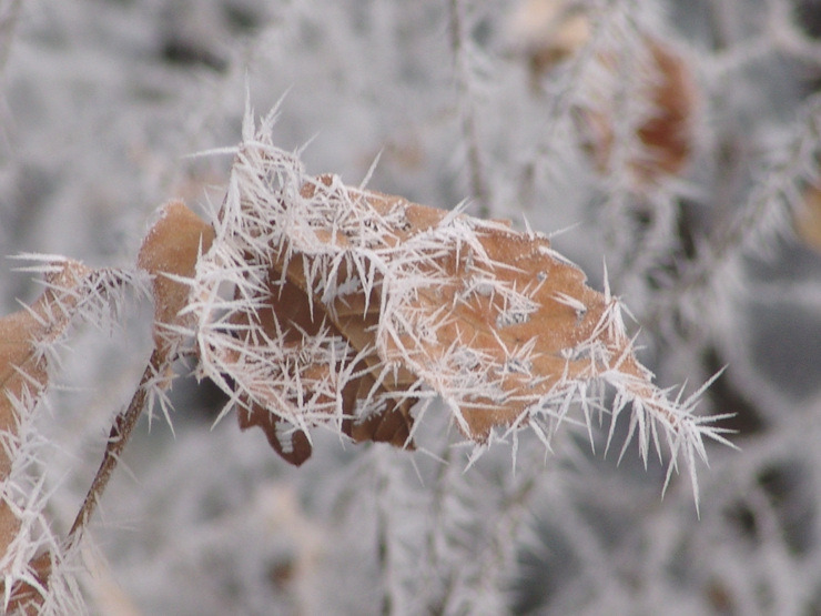 �̹����� Ŭ���ϸ� ������ ���� �� �ֽ��ϴ�.