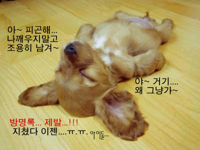 참 이미지
