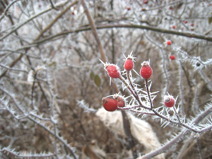 �̹����� Ŭ���ϸ� ������ ���� �� �ֽ��ϴ�.